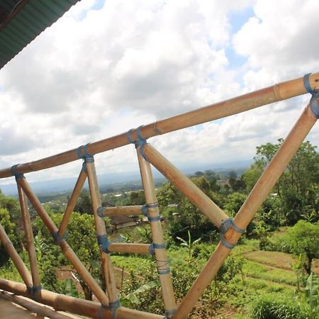 Bali Tree House Pelangi Daire Bedugul  Dış mekan fotoğraf