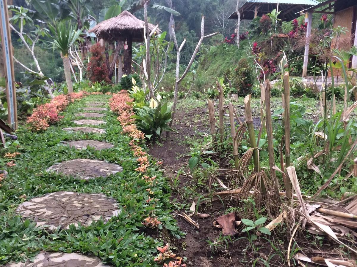 Bali Tree House Pelangi Daire Bedugul  Dış mekan fotoğraf