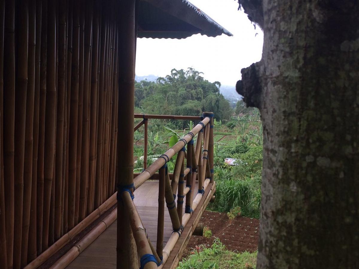 Bali Tree House Pelangi Daire Bedugul  Dış mekan fotoğraf
