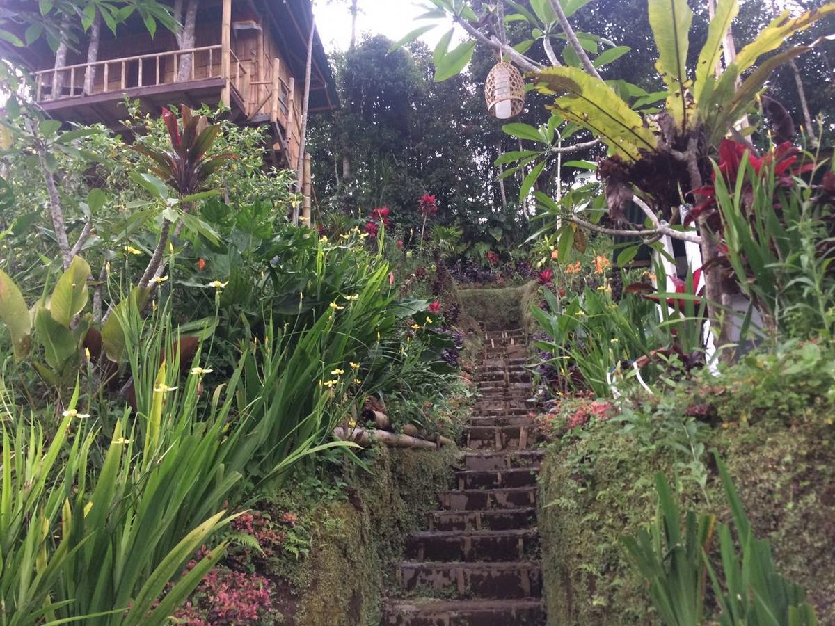 Bali Tree House Pelangi Daire Bedugul  Dış mekan fotoğraf