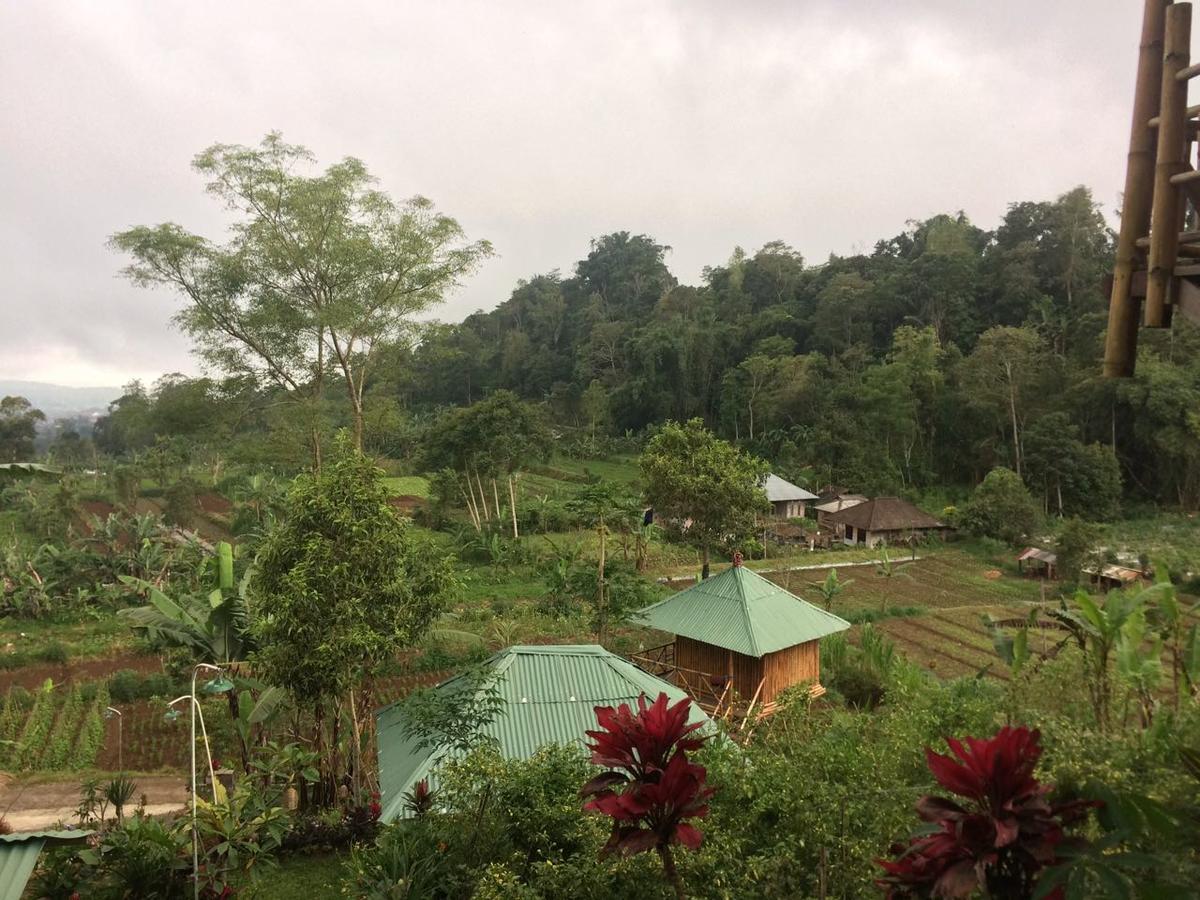 Bali Tree House Pelangi Daire Bedugul  Dış mekan fotoğraf