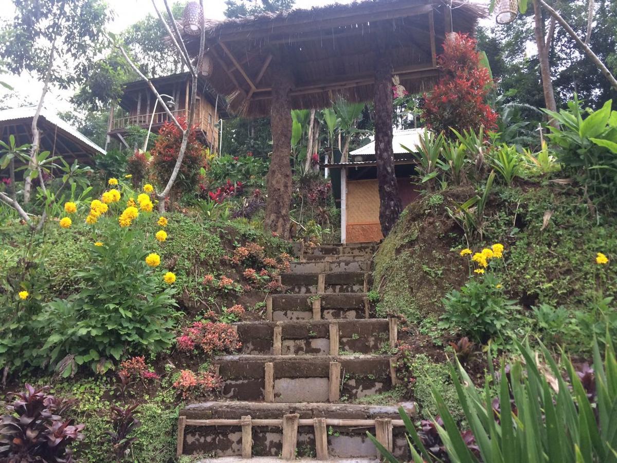Bali Tree House Pelangi Daire Bedugul  Dış mekan fotoğraf