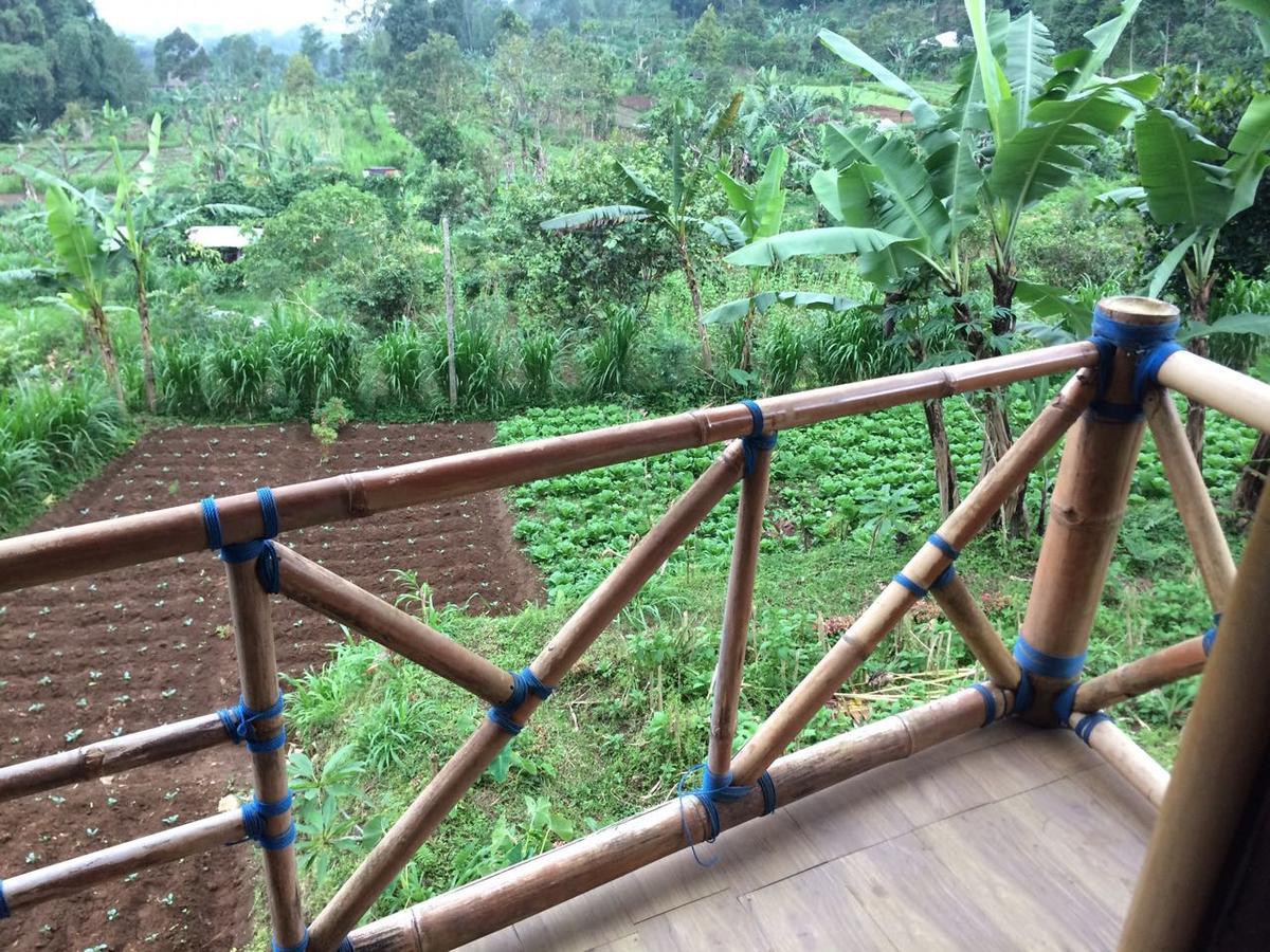 Bali Tree House Pelangi Daire Bedugul  Dış mekan fotoğraf