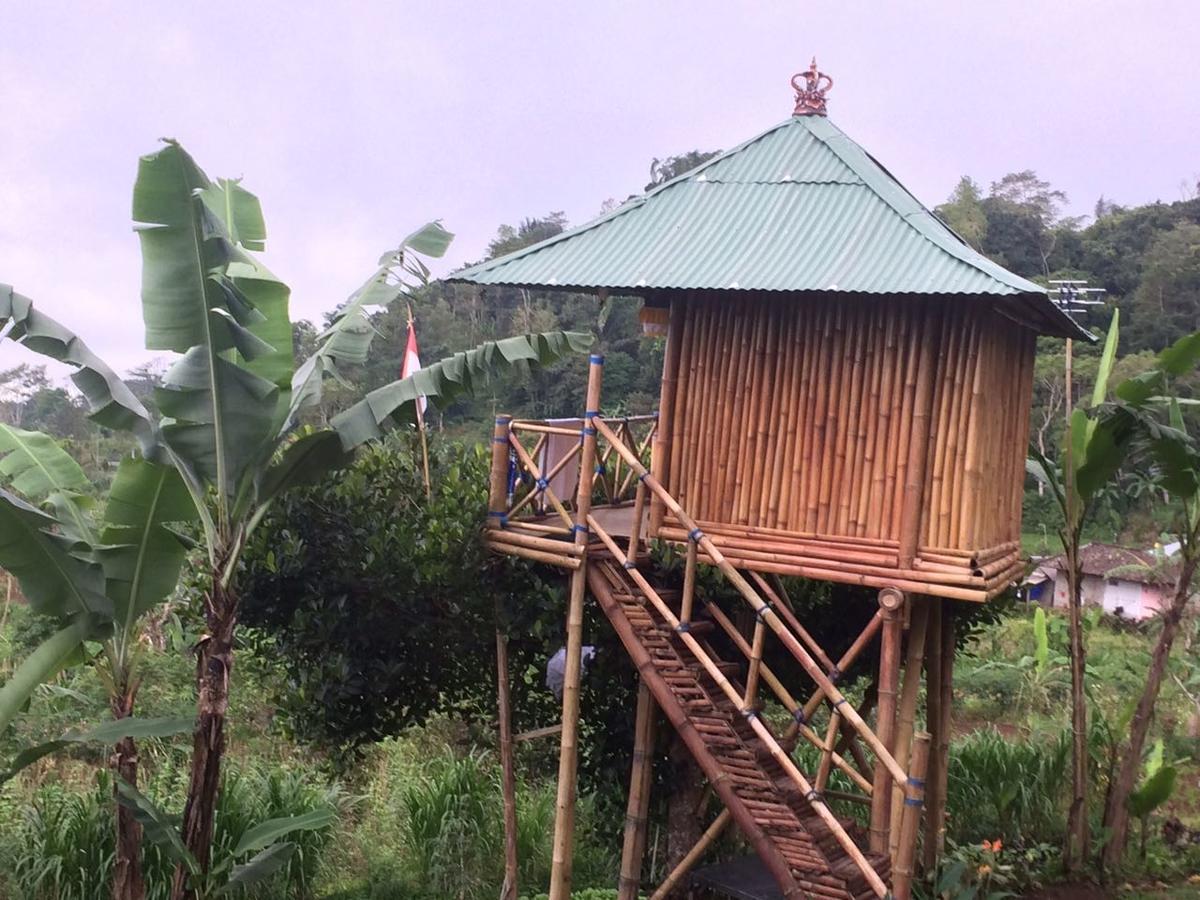 Bali Tree House Pelangi Daire Bedugul  Dış mekan fotoğraf