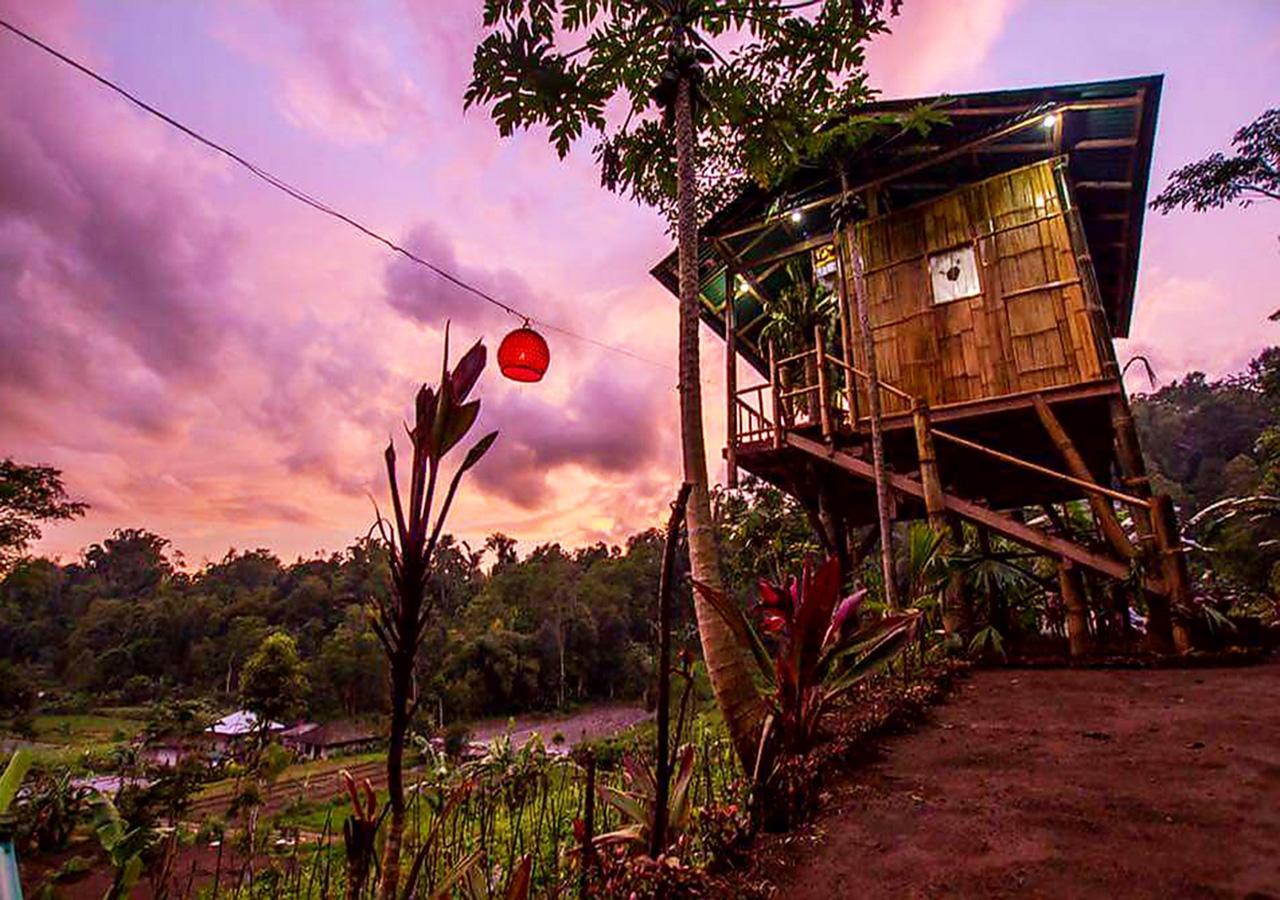 Bali Tree House Pelangi Daire Bedugul  Dış mekan fotoğraf