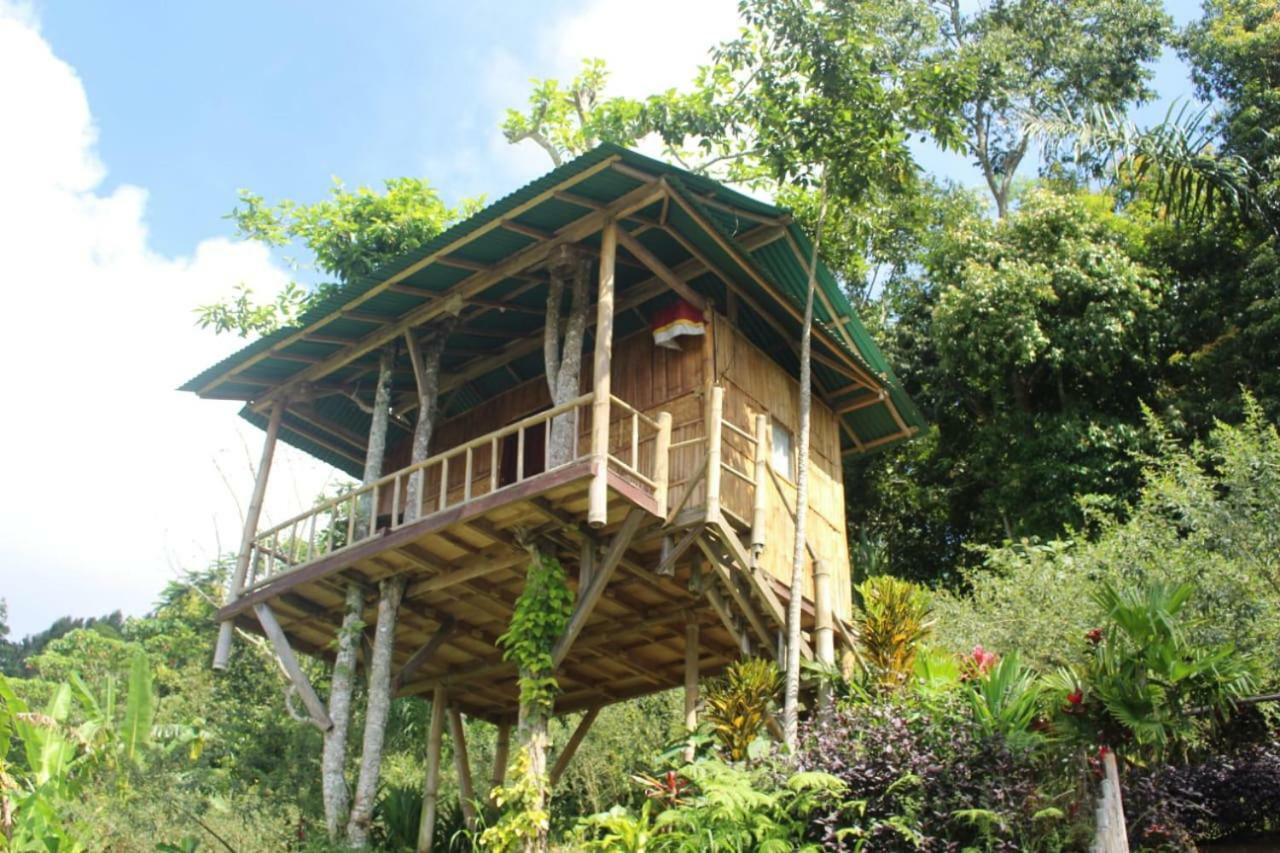 Bali Tree House Pelangi Daire Bedugul  Dış mekan fotoğraf