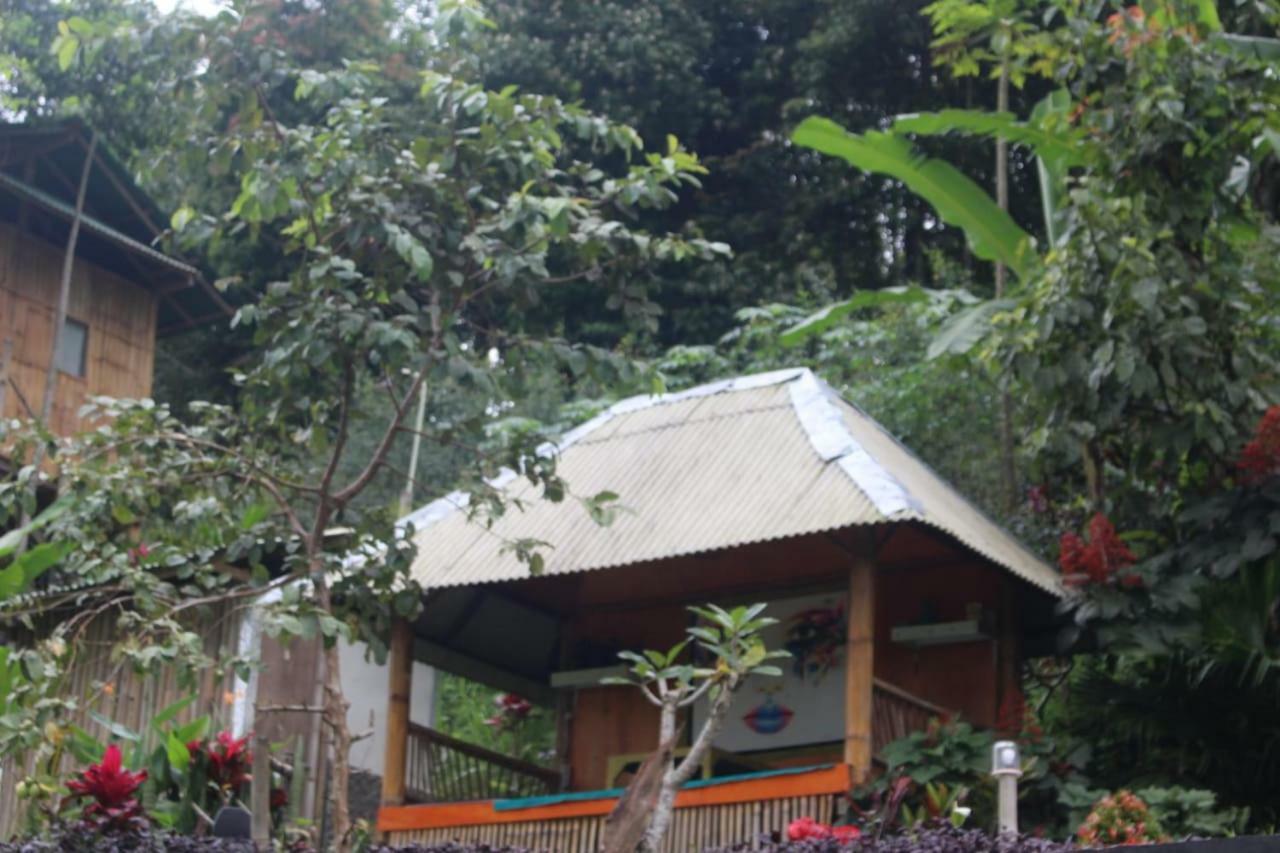 Bali Tree House Pelangi Daire Bedugul  Dış mekan fotoğraf