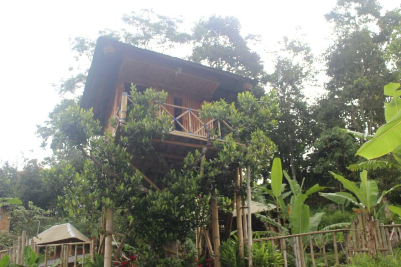 Bali Tree House Pelangi Daire Bedugul  Dış mekan fotoğraf