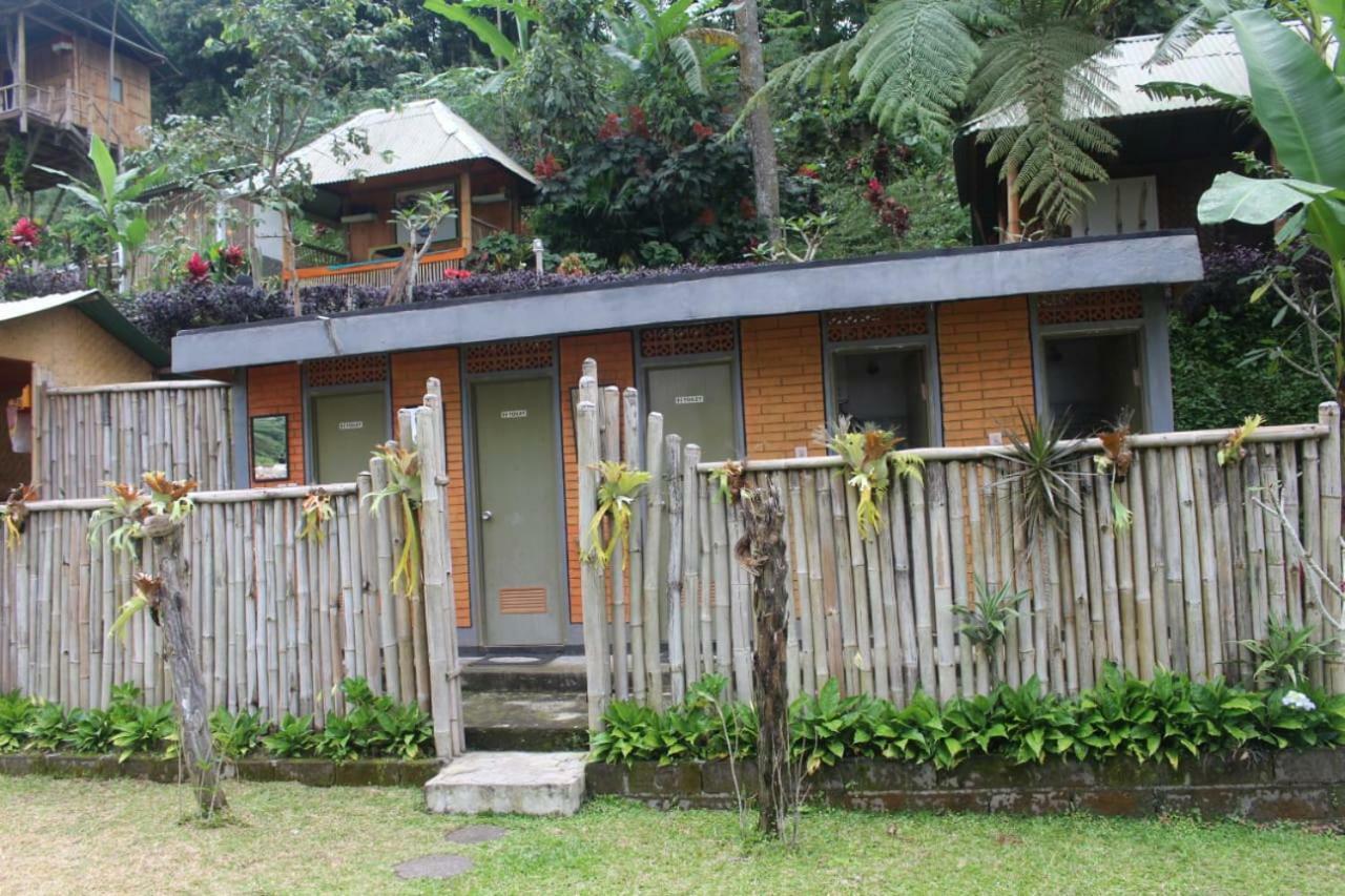 Bali Tree House Pelangi Daire Bedugul  Dış mekan fotoğraf