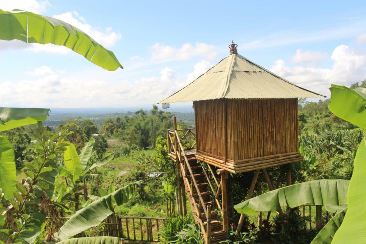 Bali Tree House Pelangi Daire Bedugul  Dış mekan fotoğraf