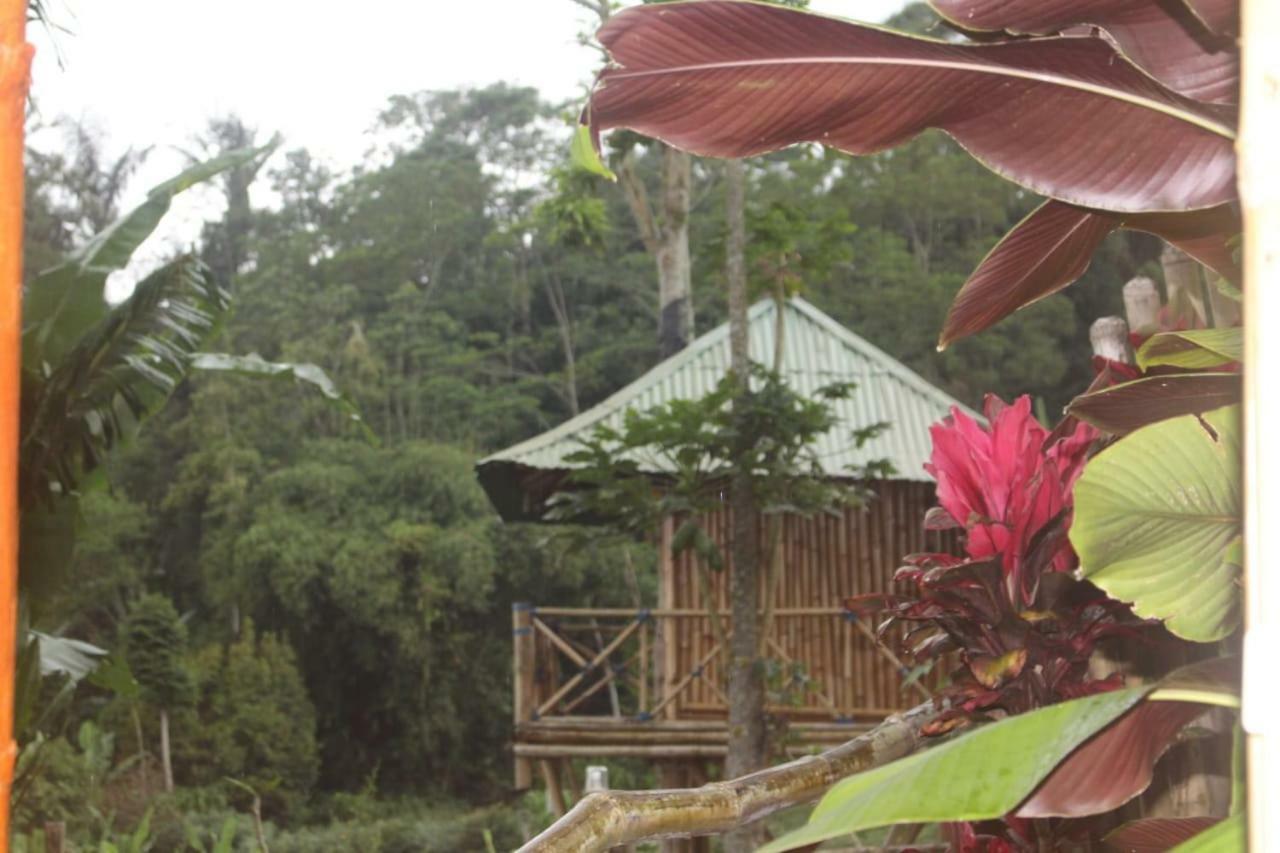 Bali Tree House Pelangi Daire Bedugul  Dış mekan fotoğraf