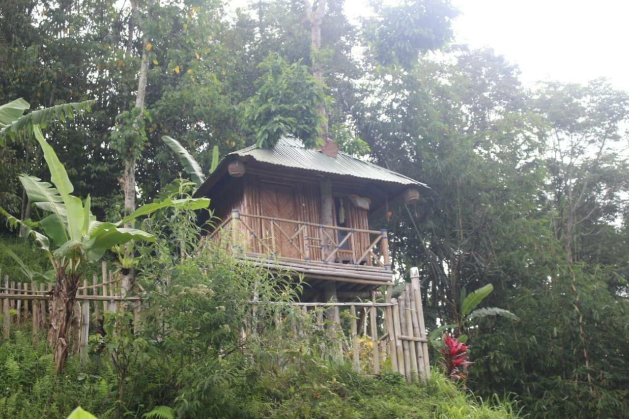 Bali Tree House Pelangi Daire Bedugul  Dış mekan fotoğraf