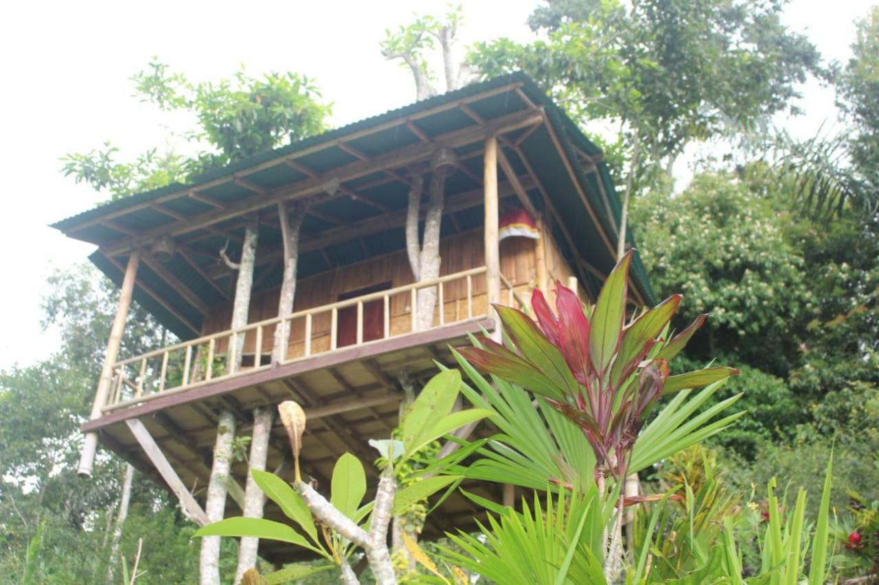 Bali Tree House Pelangi Daire Bedugul  Dış mekan fotoğraf