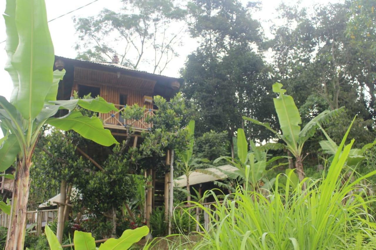 Bali Tree House Pelangi Daire Bedugul  Dış mekan fotoğraf
