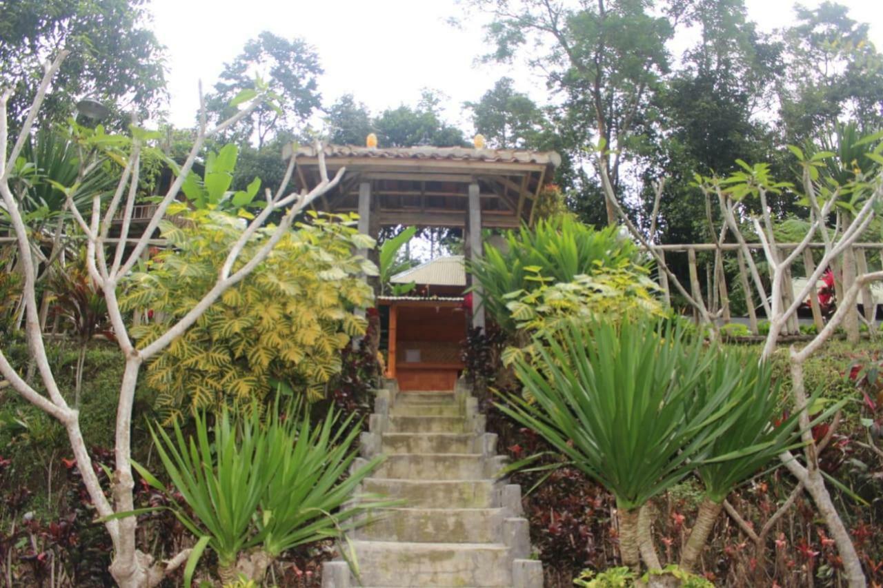 Bali Tree House Pelangi Daire Bedugul  Dış mekan fotoğraf
