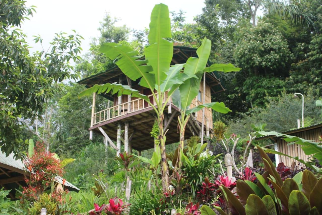 Bali Tree House Pelangi Daire Bedugul  Dış mekan fotoğraf