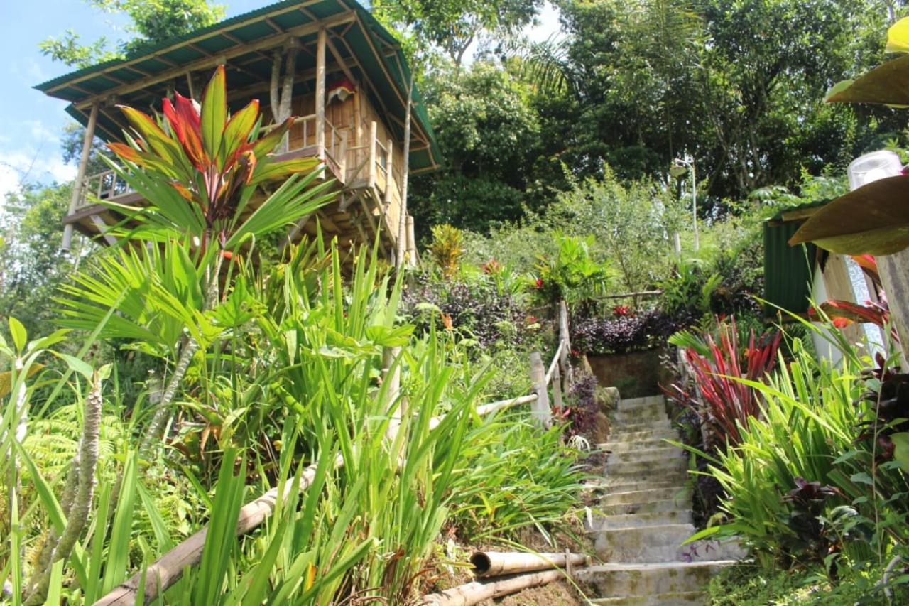 Bali Tree House Pelangi Daire Bedugul  Dış mekan fotoğraf