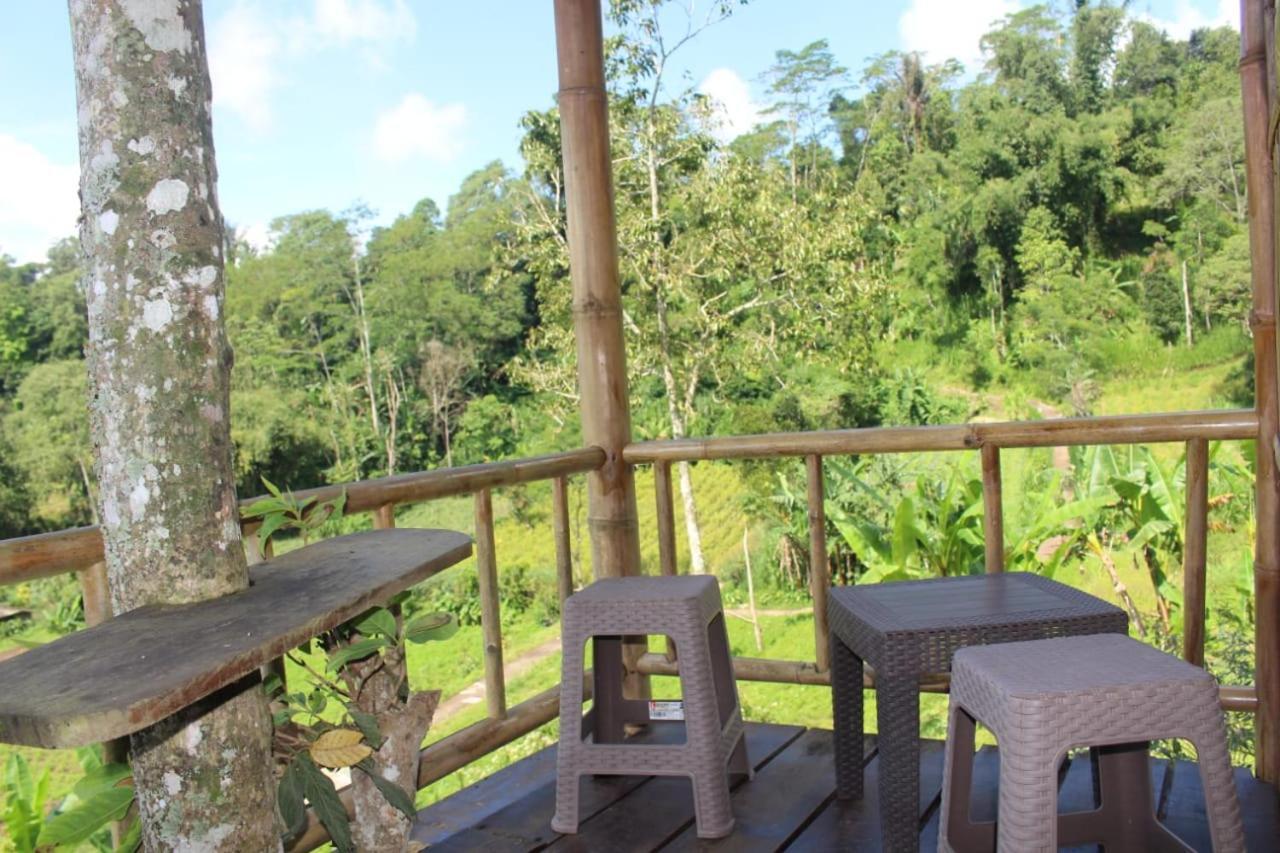 Bali Tree House Pelangi Daire Bedugul  Dış mekan fotoğraf
