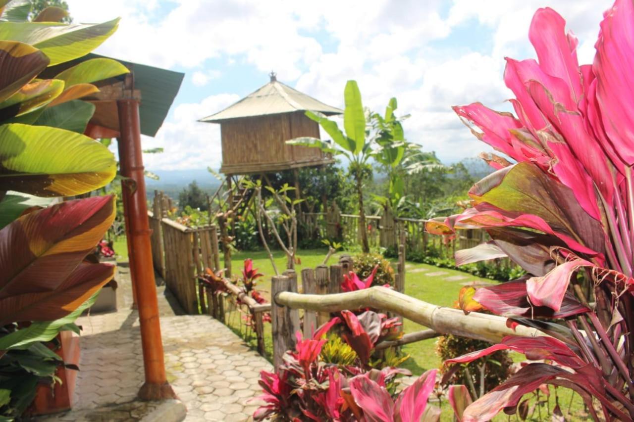 Bali Tree House Pelangi Daire Bedugul  Dış mekan fotoğraf