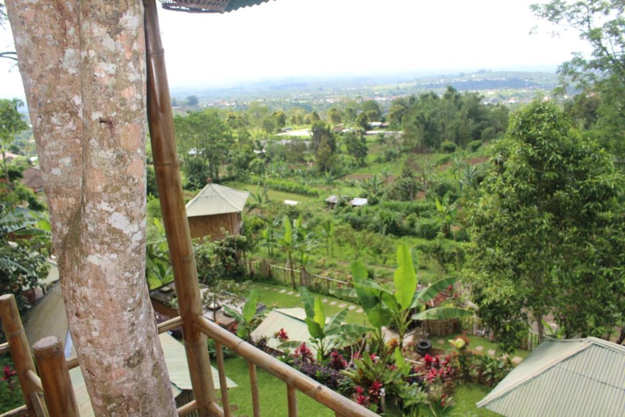 Bali Tree House Pelangi Daire Bedugul  Dış mekan fotoğraf