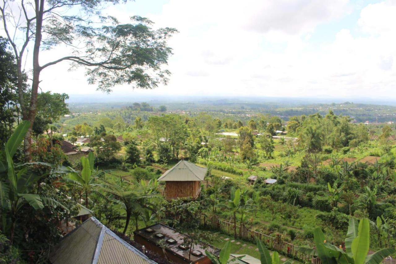Bali Tree House Pelangi Daire Bedugul  Dış mekan fotoğraf