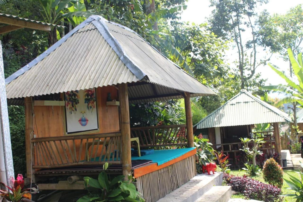 Bali Tree House Pelangi Daire Bedugul  Dış mekan fotoğraf