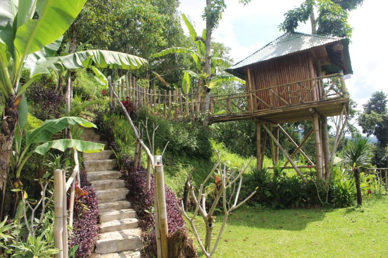 Bali Tree House Pelangi Daire Bedugul  Dış mekan fotoğraf