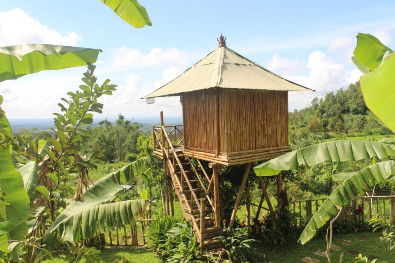 Bali Tree House Pelangi Daire Bedugul  Dış mekan fotoğraf