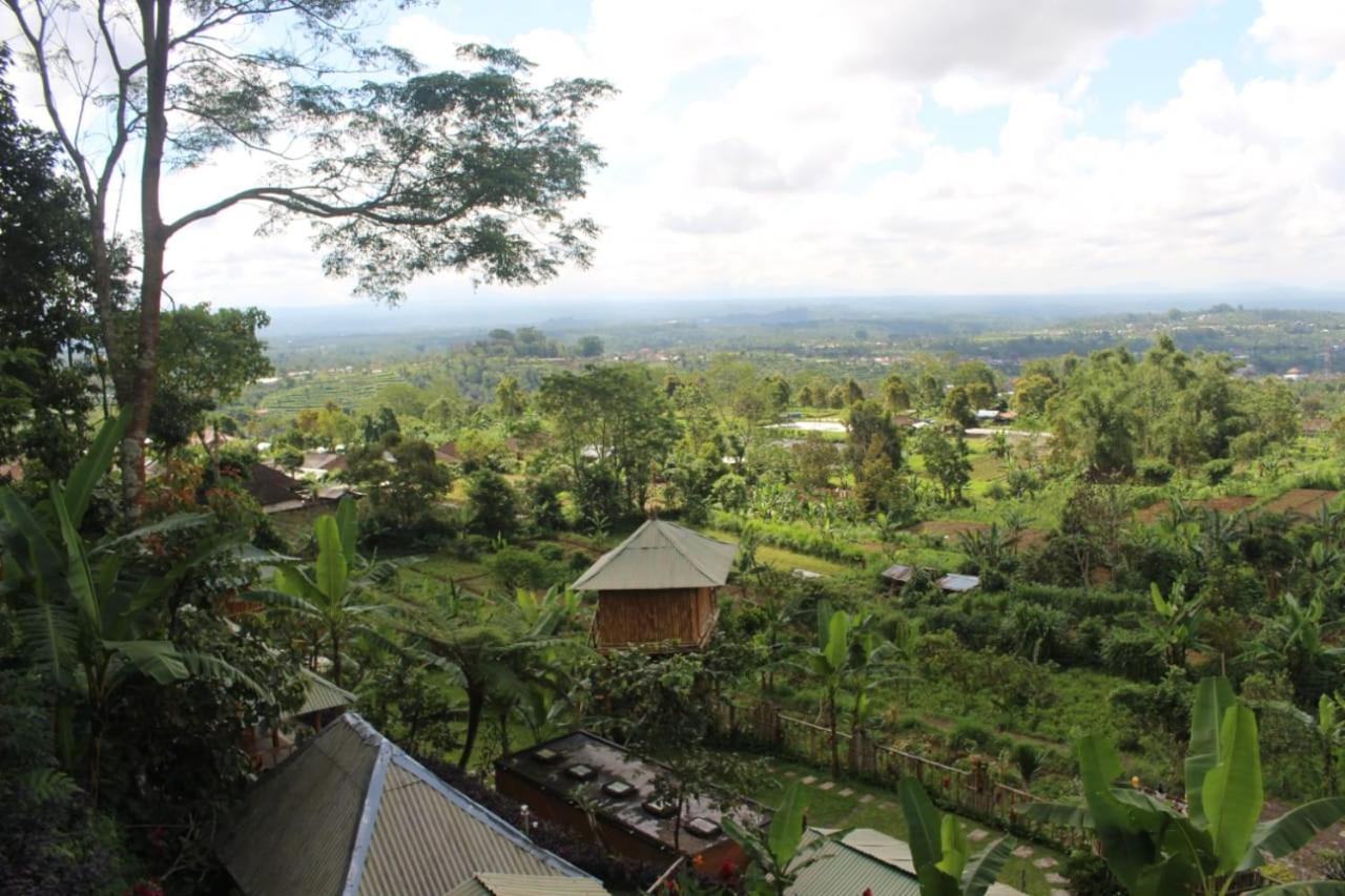 Bali Tree House Pelangi Daire Bedugul  Dış mekan fotoğraf