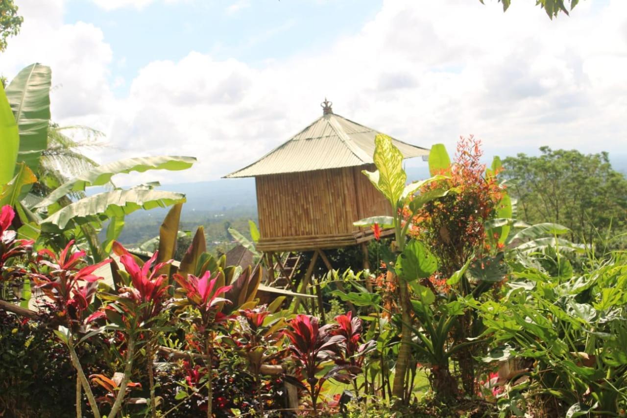 Bali Tree House Pelangi Daire Bedugul  Dış mekan fotoğraf