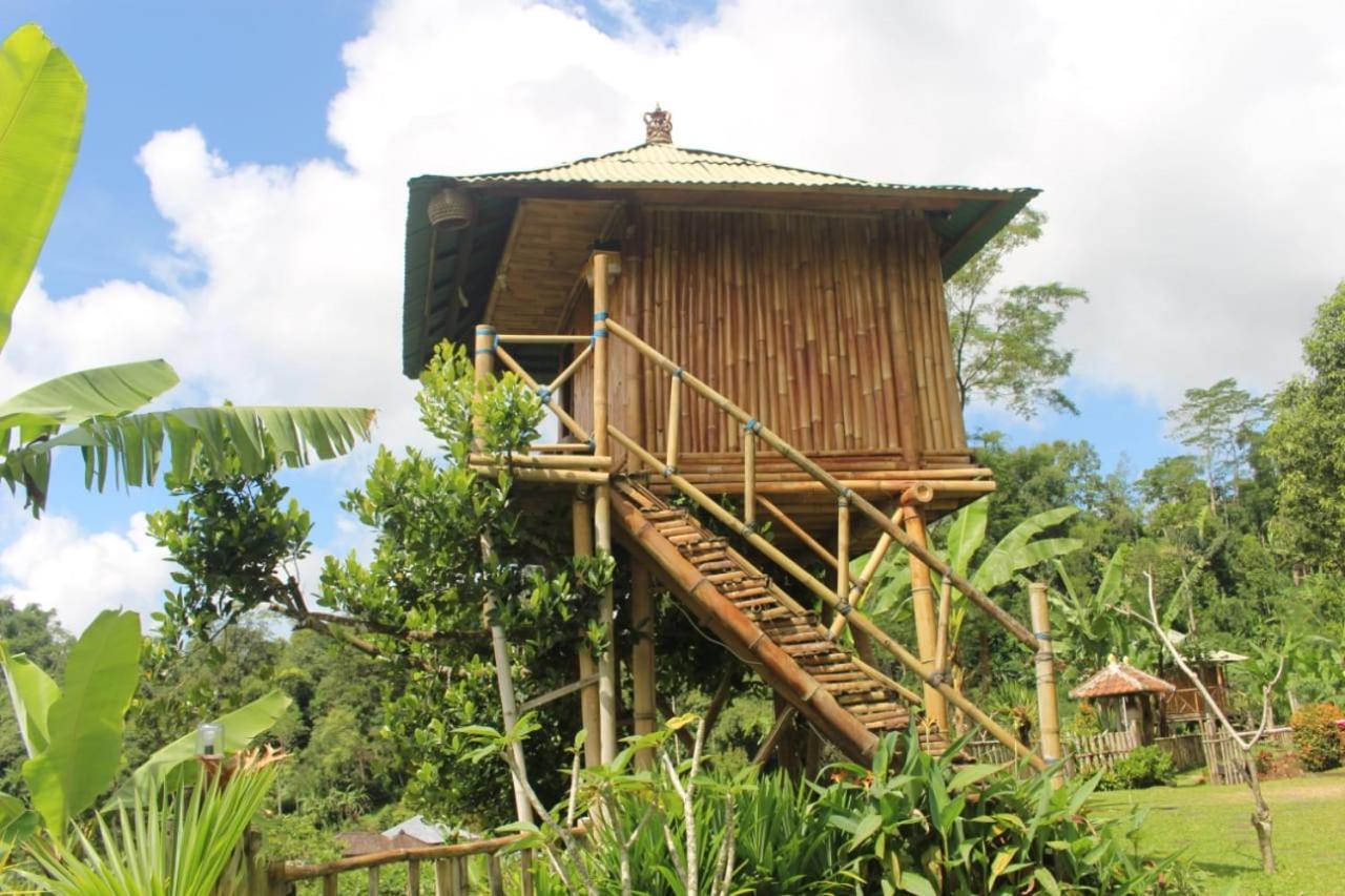 Bali Tree House Pelangi Daire Bedugul  Dış mekan fotoğraf