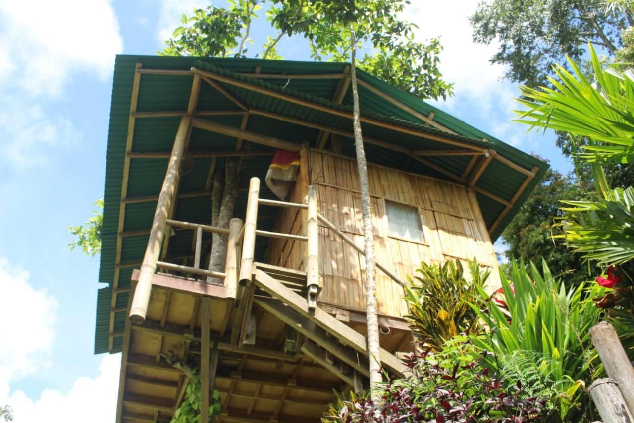 Bali Tree House Pelangi Daire Bedugul  Dış mekan fotoğraf
