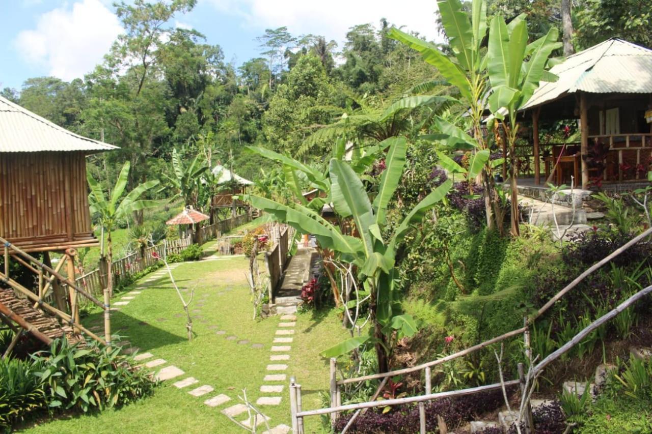 Bali Tree House Pelangi Daire Bedugul  Dış mekan fotoğraf
