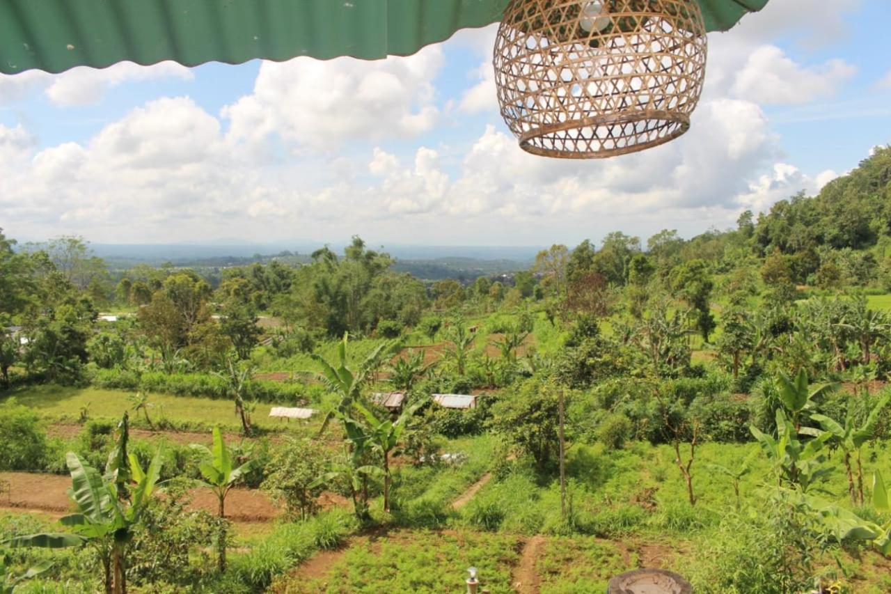 Bali Tree House Pelangi Daire Bedugul  Dış mekan fotoğraf