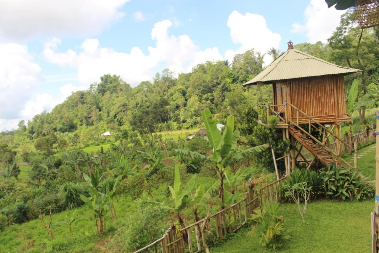 Bali Tree House Pelangi Daire Bedugul  Dış mekan fotoğraf