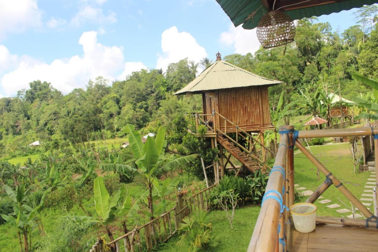 Bali Tree House Pelangi Daire Bedugul  Dış mekan fotoğraf
