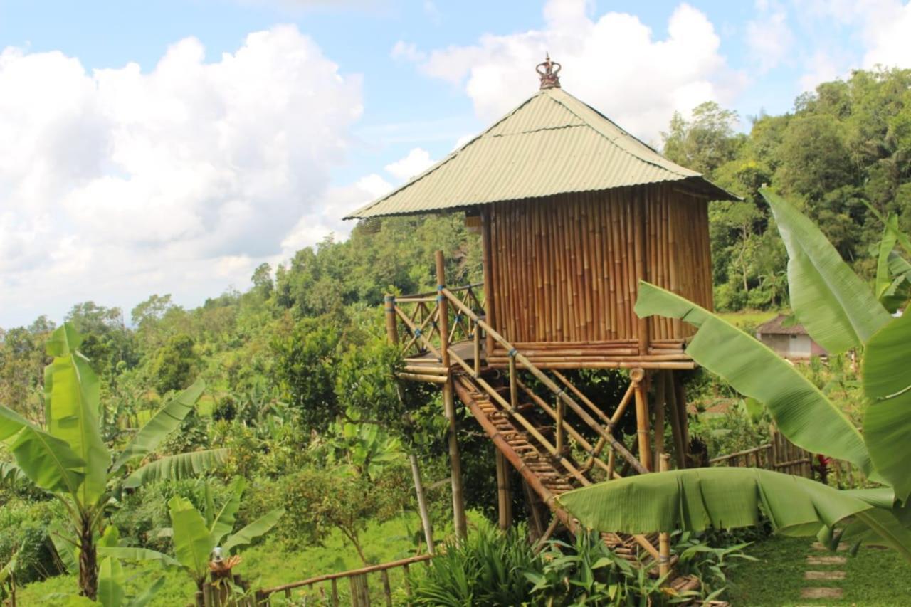 Bali Tree House Pelangi Daire Bedugul  Dış mekan fotoğraf