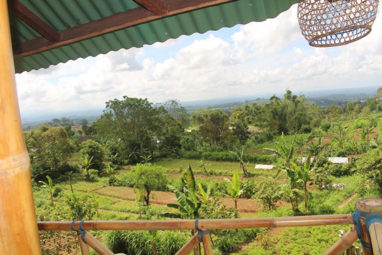 Bali Tree House Pelangi Daire Bedugul  Dış mekan fotoğraf