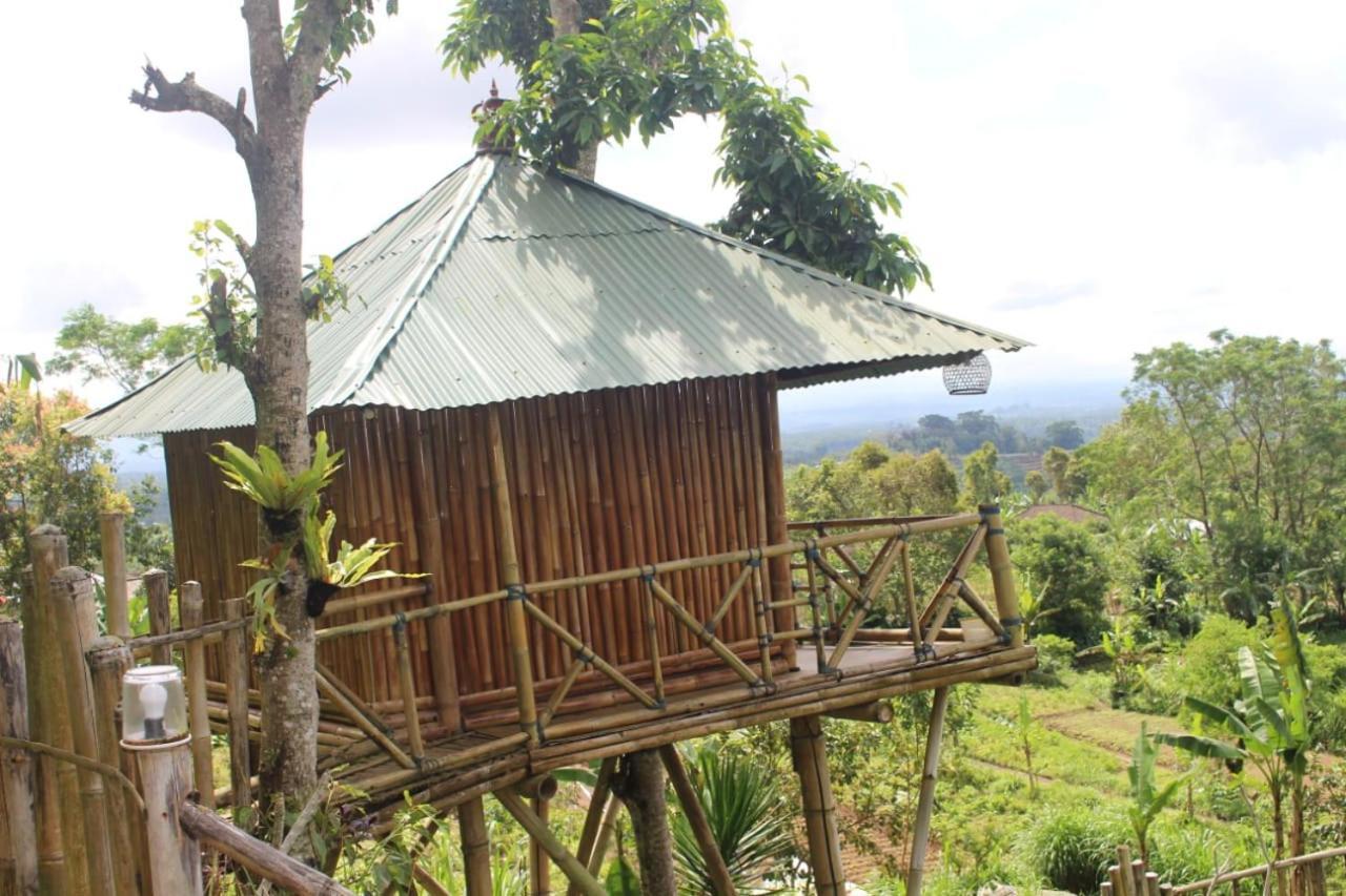 Bali Tree House Pelangi Daire Bedugul  Dış mekan fotoğraf