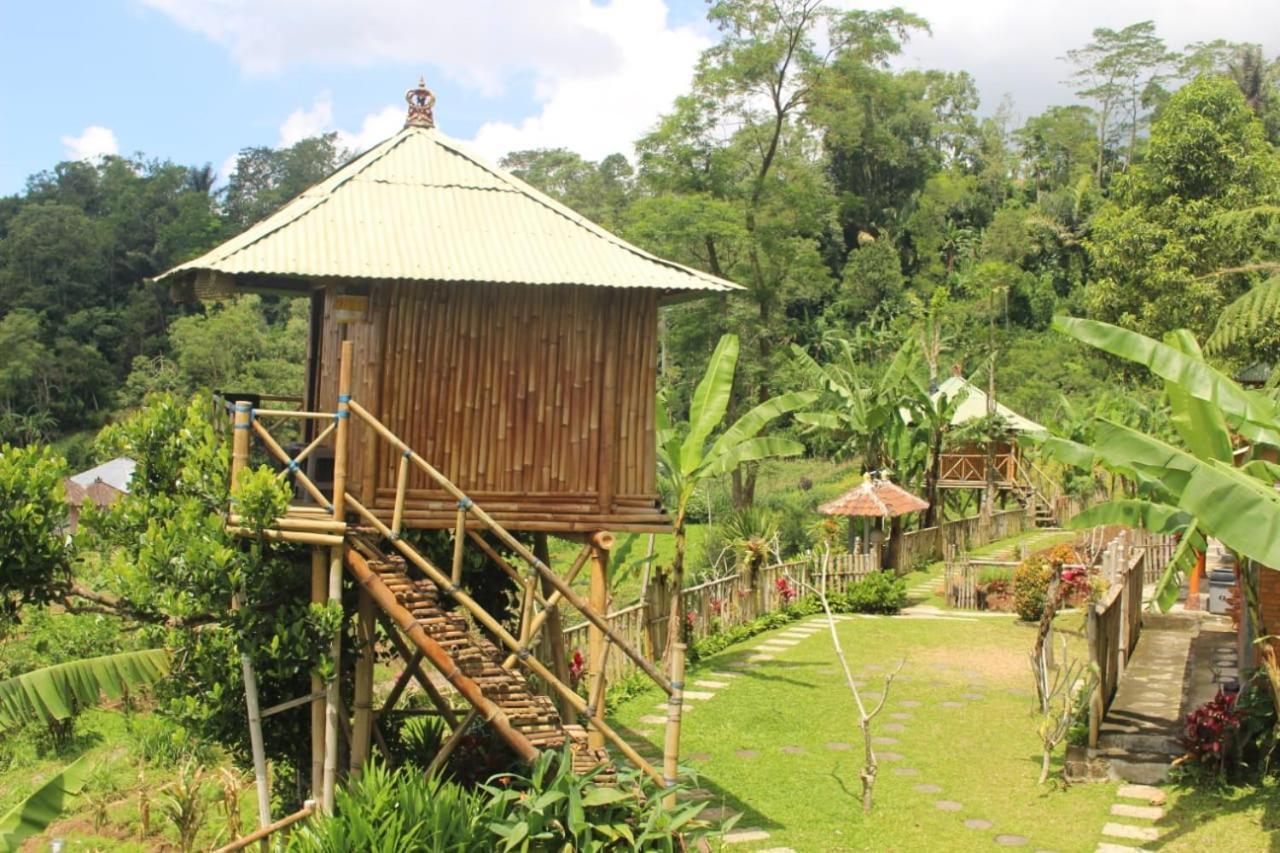 Bali Tree House Pelangi Daire Bedugul  Dış mekan fotoğraf