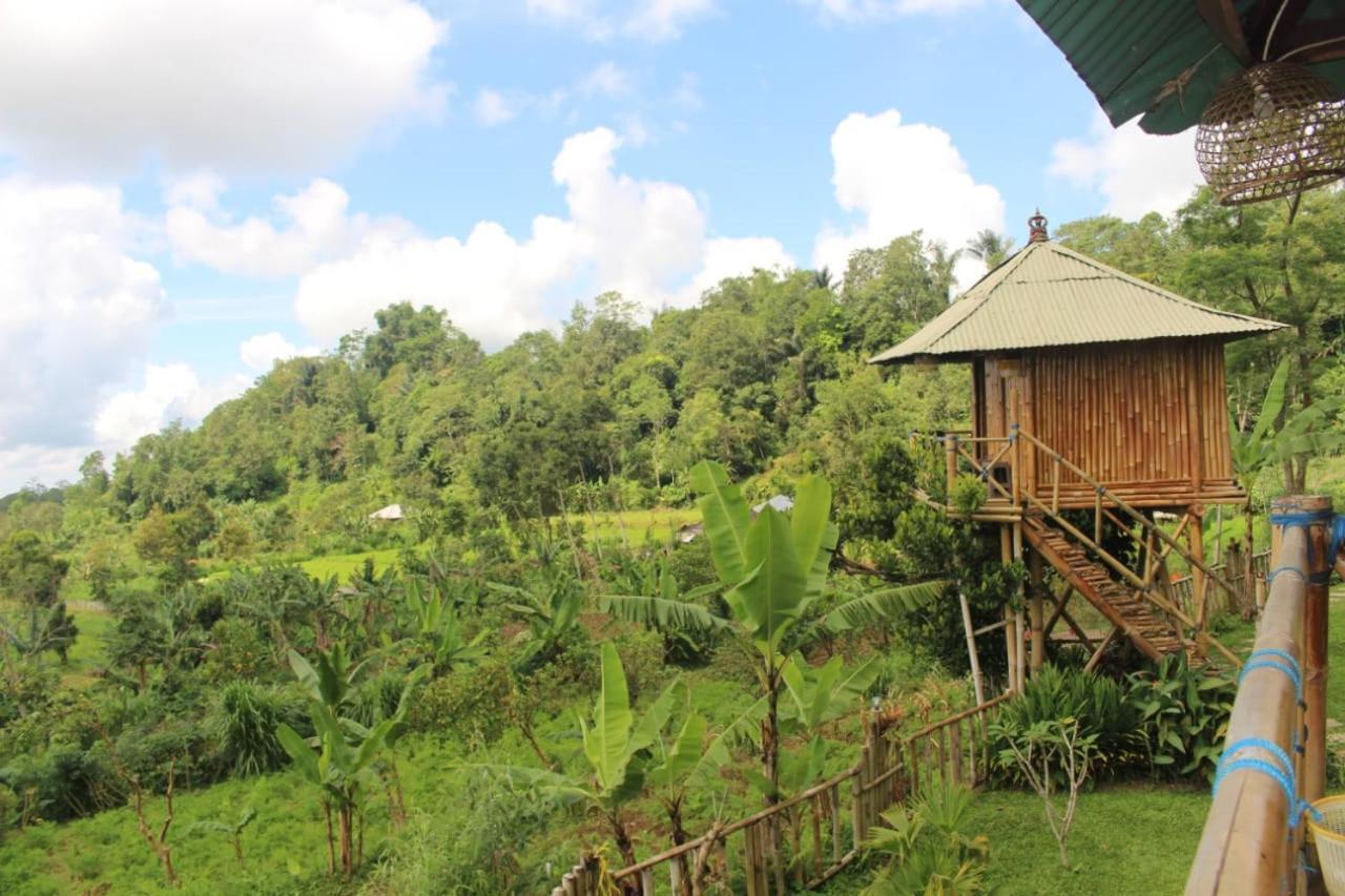 Bali Tree House Pelangi Daire Bedugul  Dış mekan fotoğraf