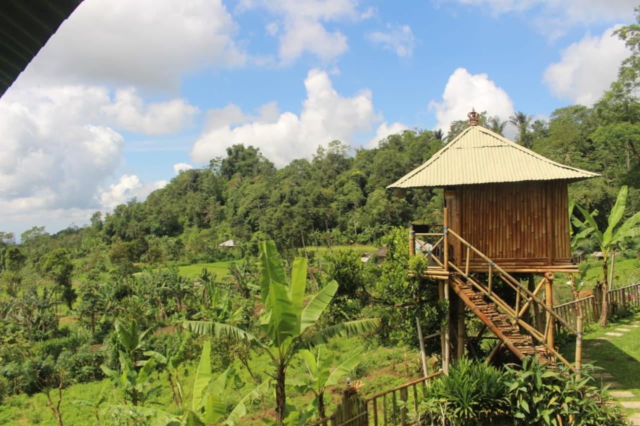 Bali Tree House Pelangi Daire Bedugul  Dış mekan fotoğraf